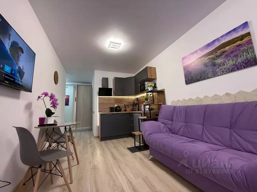 Студия Крым, Сакский район, с. Фрунзе ул. Мира, 27А (27.0 м) - Фото 0