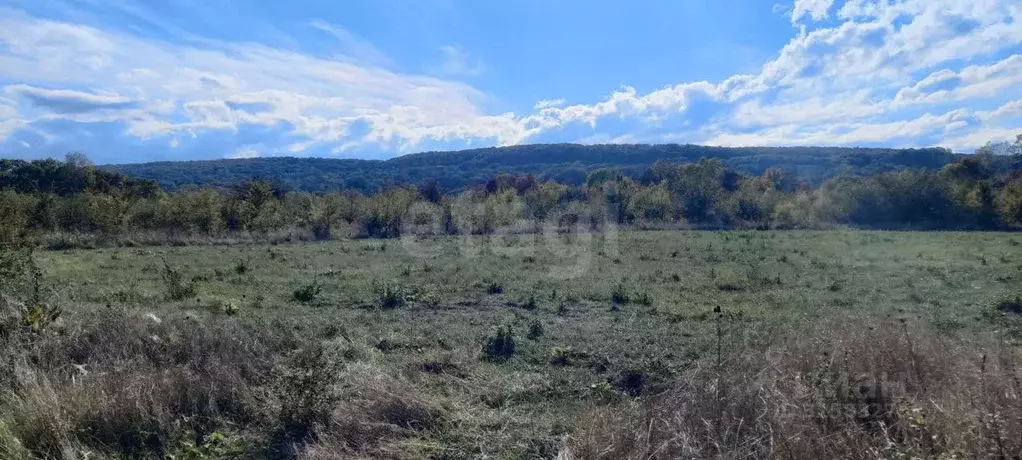 Участок в Адыгея, Майкопский район, пос. Тульский  (5.91 сот.) - Фото 1