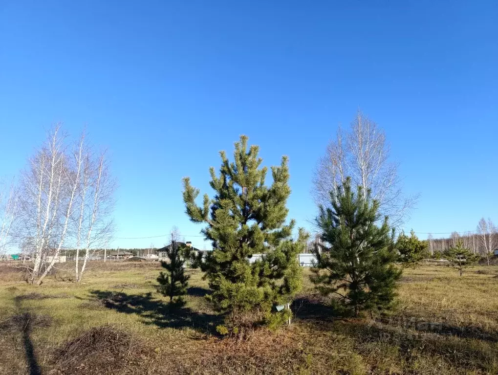 Участок в Ульяновская область, Ульяновск Лесной СТ, ул. Верности, 5 ... - Фото 2