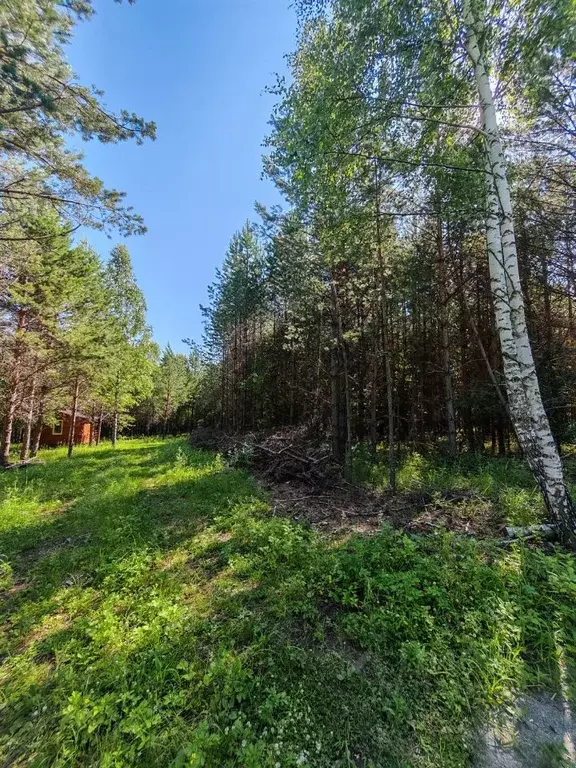 Участок в Алтай, Чемальский район, с. Анос  (12.0 сот.) - Фото 1