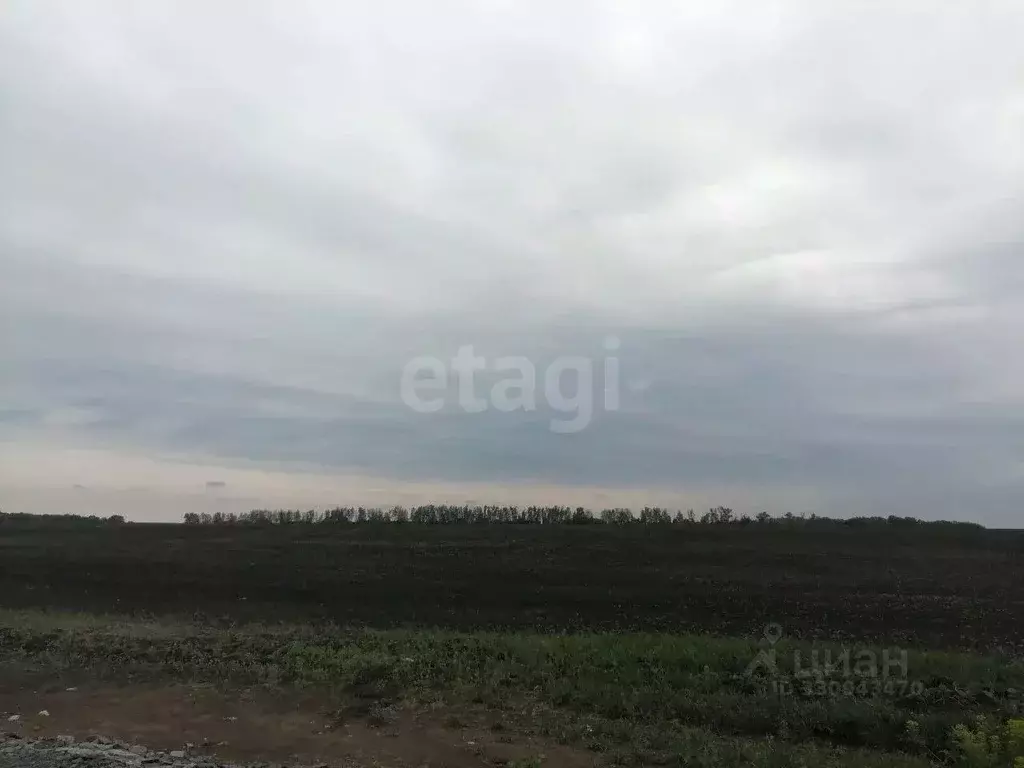 Участок в Белгородская область, Белгородский муниципальный округ, ... - Фото 2