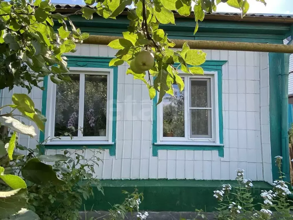 Дом в Воронежская область, Таловая рп ул. Садовая, 36 (74 м) - Фото 1