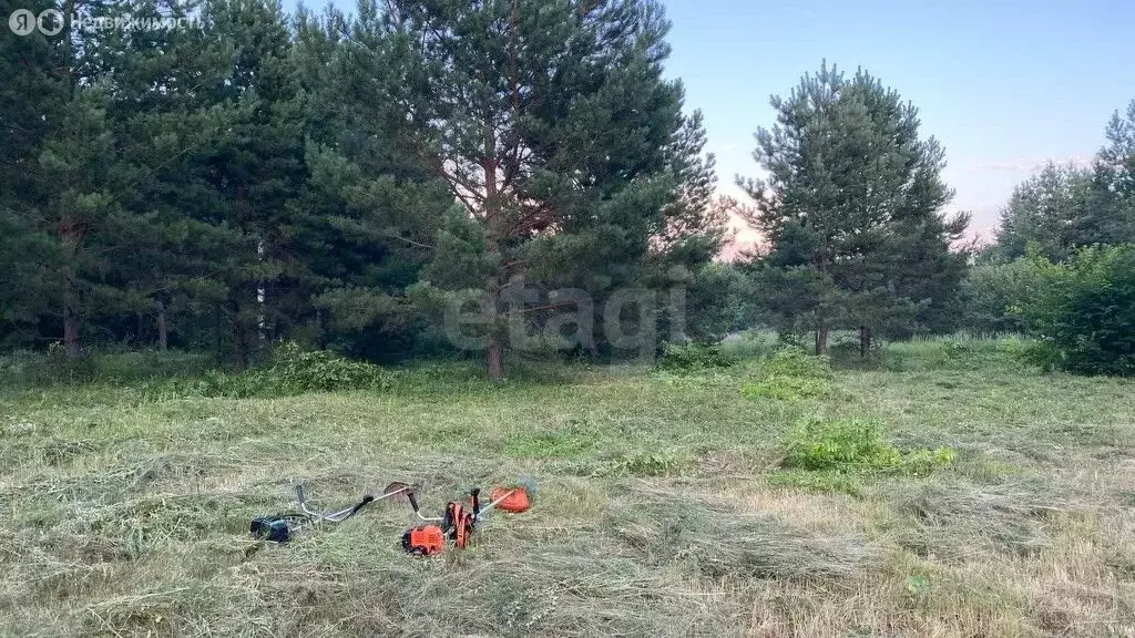 Участок в посёлок Власть Труда, Сосновая улица (16 м) - Фото 0