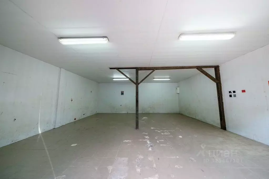 Помещение свободного назначения в Краснодарский край, Сочи Виноградный ... - Фото 1