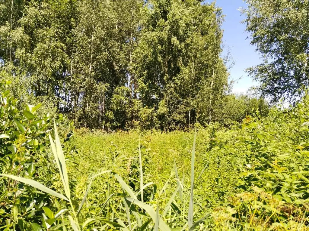 Участок в Московская область, Орехово-Зуевский городской округ, пос. ... - Фото 0