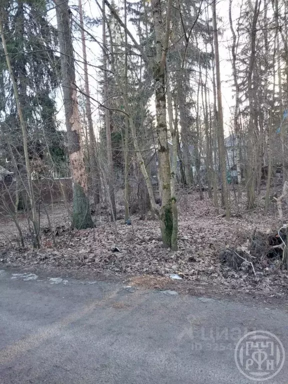 Участок в Ленинградская область, Всеволожск Сергиевская ул. (6.0 сот.) - Фото 1