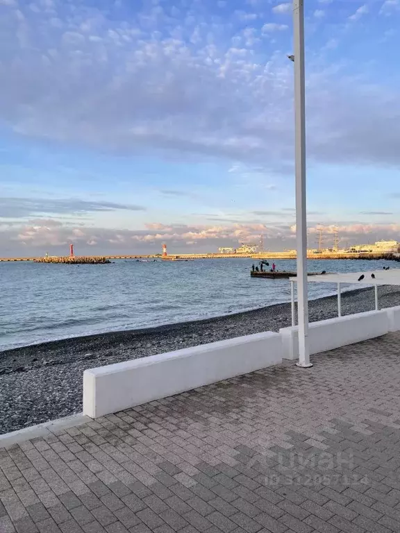 Участок в Краснодарский край, Сочи городской округ, с. ... - Фото 0
