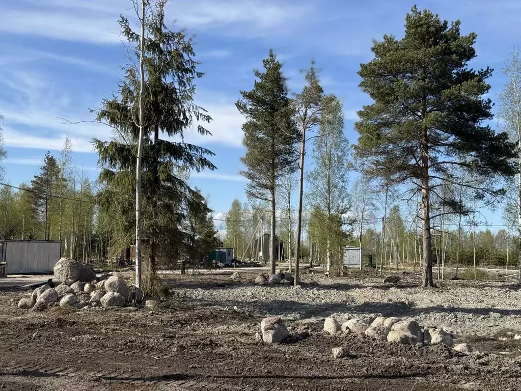 Участок в Ленинградская область, Шлиссельбург Кировский район, ... - Фото 1