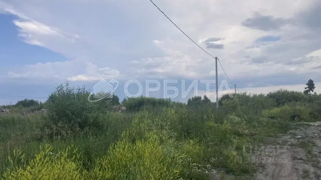 Участок в Тюменская область, Тюмень Поле Чудес садовое товарищество, ... - Фото 0