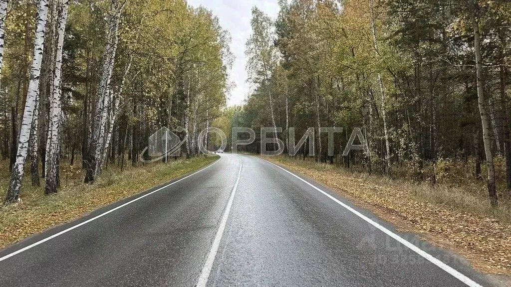 Участок в Тюменская область, Тюменский муниципальный округ, д. ... - Фото 2