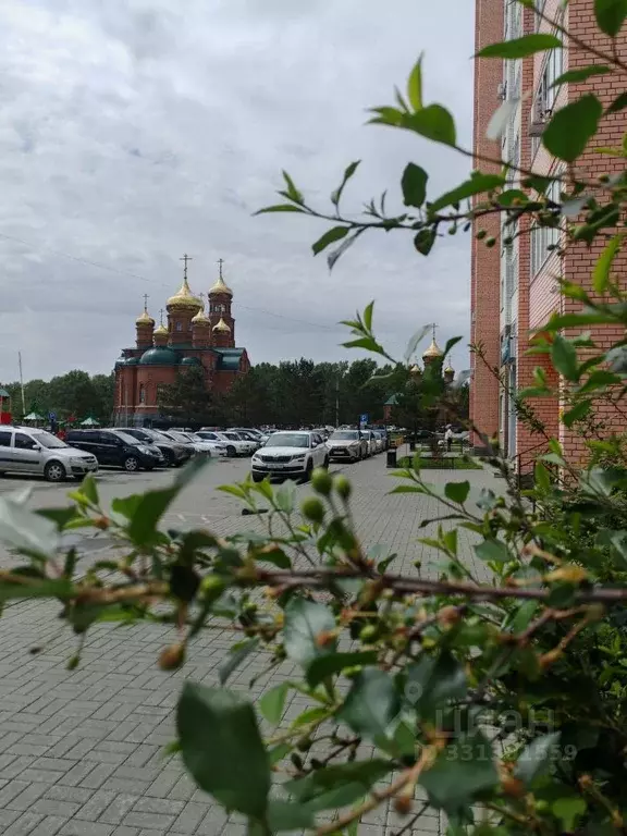 Студия Алтайский край, Барнаул ул. Антона Петрова, 221Д/1 (23.0 м) - Фото 2