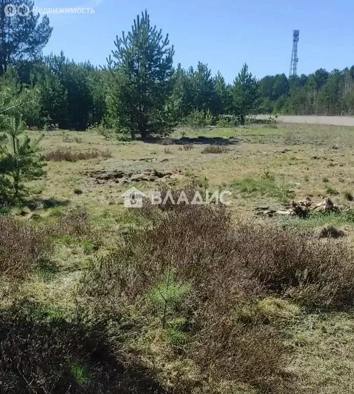 Участок в Лодейное Поле, улица Тимофея Паршуткина, 21 (10 м) - Фото 1