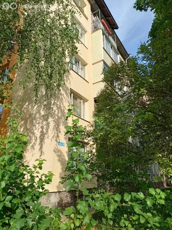1-комнатная квартира: Сортавала, Новая улица, 20 (29.7 м) - Фото 0
