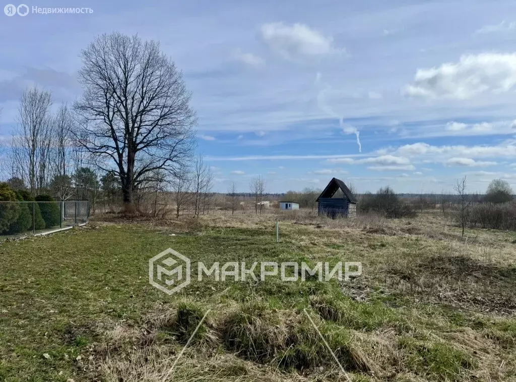 Участок в Любанское городское поселение, деревня Вериговщина (50 м) - Фото 2