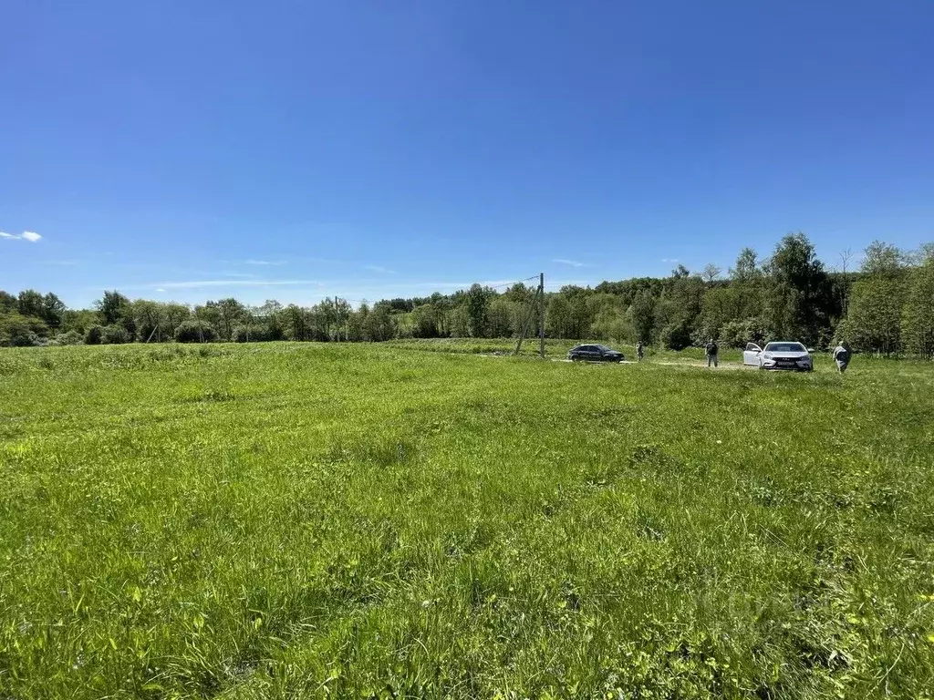 Участок в Тульская область, Заокский район, Демидовское с/пос, с. ... - Фото 1