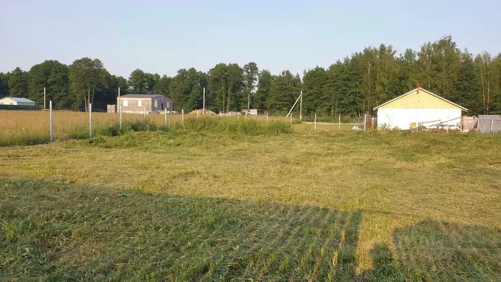 Участок в Московская область, Раменский муниципальный округ  (11.4 ... - Фото 2