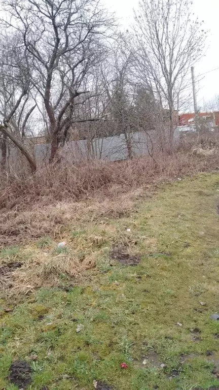Свободной планировки кв. Калининградская область, Багратионовский ... - Фото 1