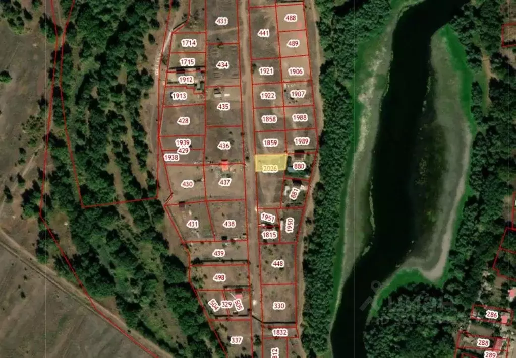 Участок в Волгоградская область, Среднеахтубинский район, Фрунзенское ... - Фото 2