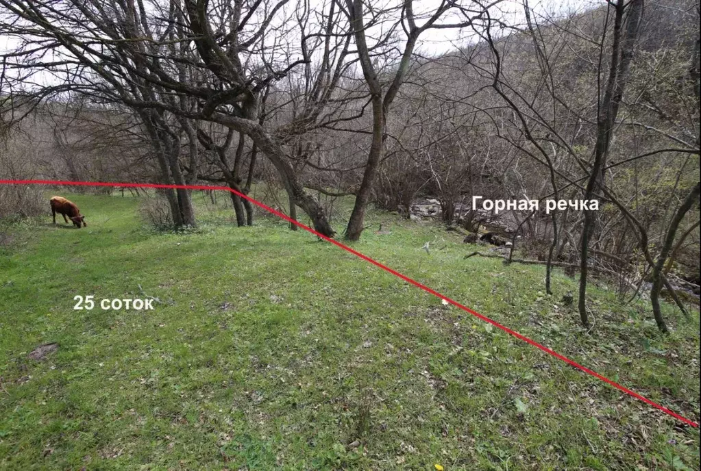 Участок в Крым, Алушта городской округ, с. Генеральское ул. Фонтанная . - Фото 0