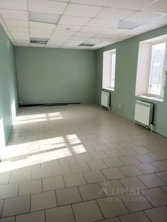 Помещение свободного назначения в Тульская область, Тула Гоголевская ... - Фото 1