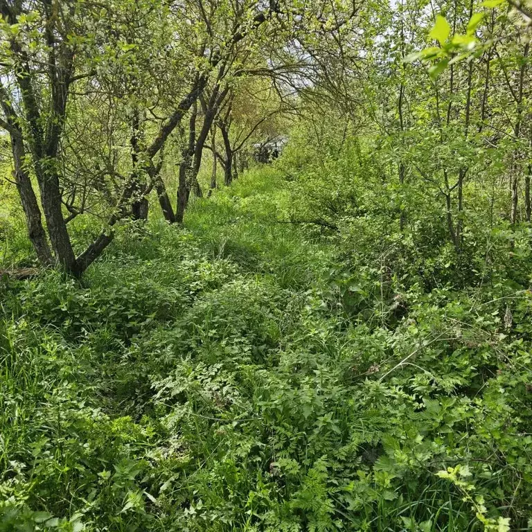 Участок в Тульская область, Тула городской округ, с. Осиновая Гора  ... - Фото 1