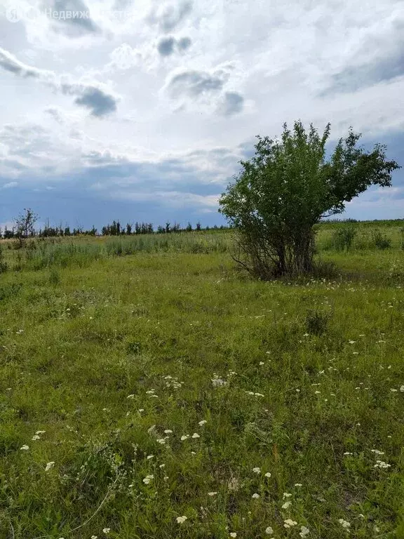 Участок в Саратов, Театральная площадь (9 м) - Фото 1