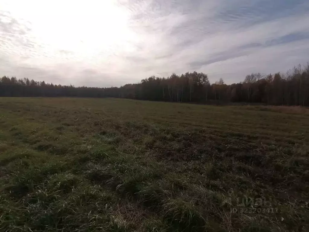 Участок в Башкортостан, Уфимский район, Русско-Юрмашский сельсовет, с. ... - Фото 2