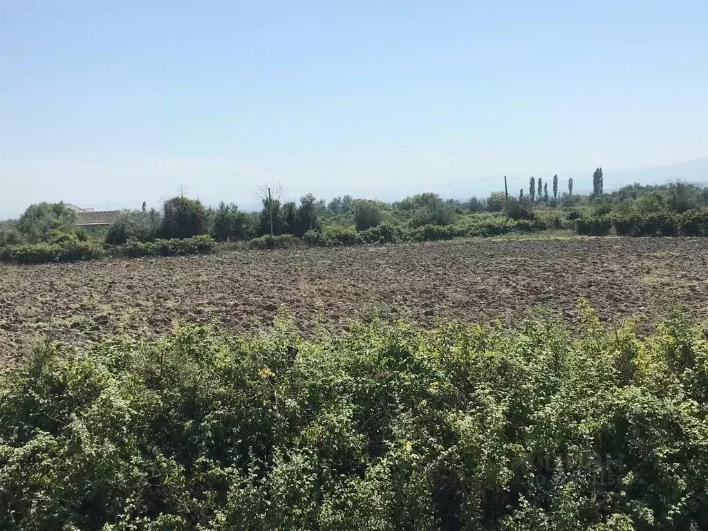 Участок в Дагестан, Курахский район, Моллакентский сельсовет, с. ... - Фото 1