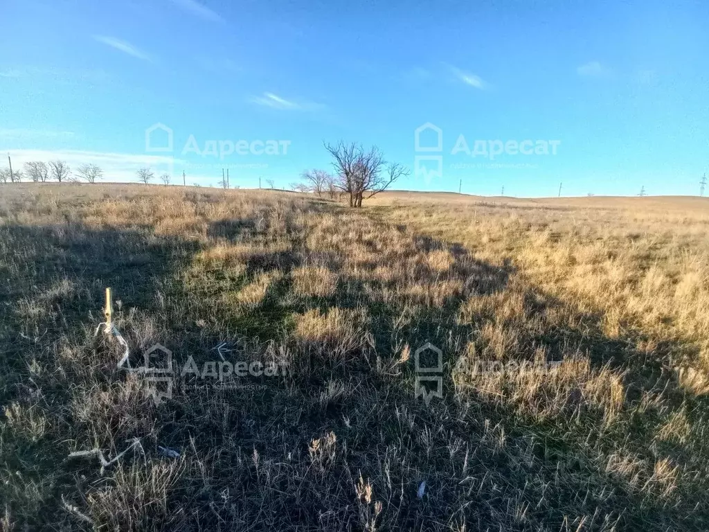 Участок в Волгоградская область, Городищенский район, Царицынское ... - Фото 1