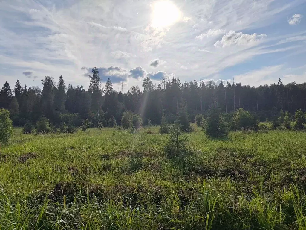 Участок в Московская область, Клин городской округ, Поляна СНТ  (90.0 ... - Фото 1