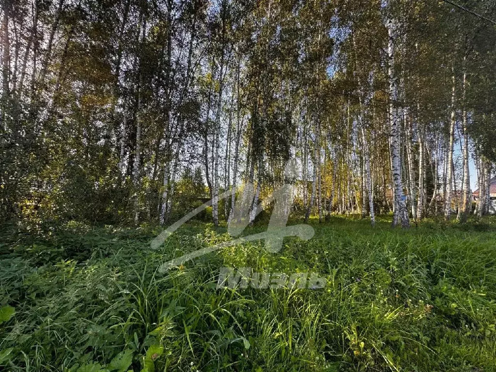 Продается участок в КП Эко-Вилладж - Фото 2