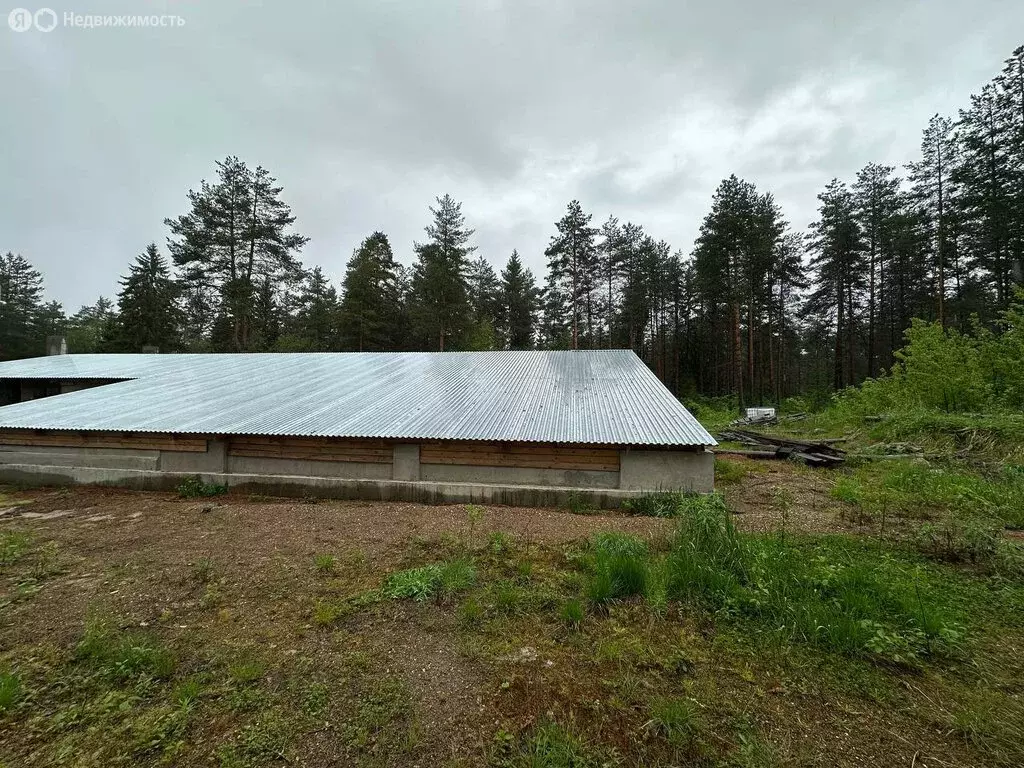 Участок в Окуловка, улица Кропоткина, 37 (50 м) - Фото 1