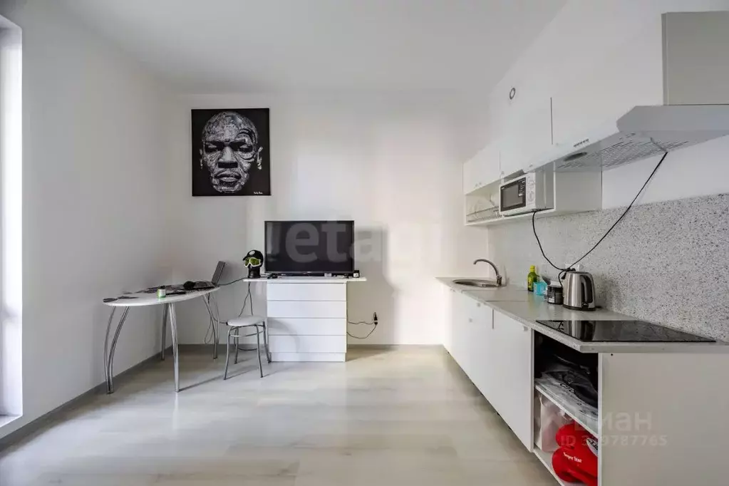 Студия Санкт-Петербург ул. Верхне-Каменская, 3к1 (24.7 м) - Фото 1