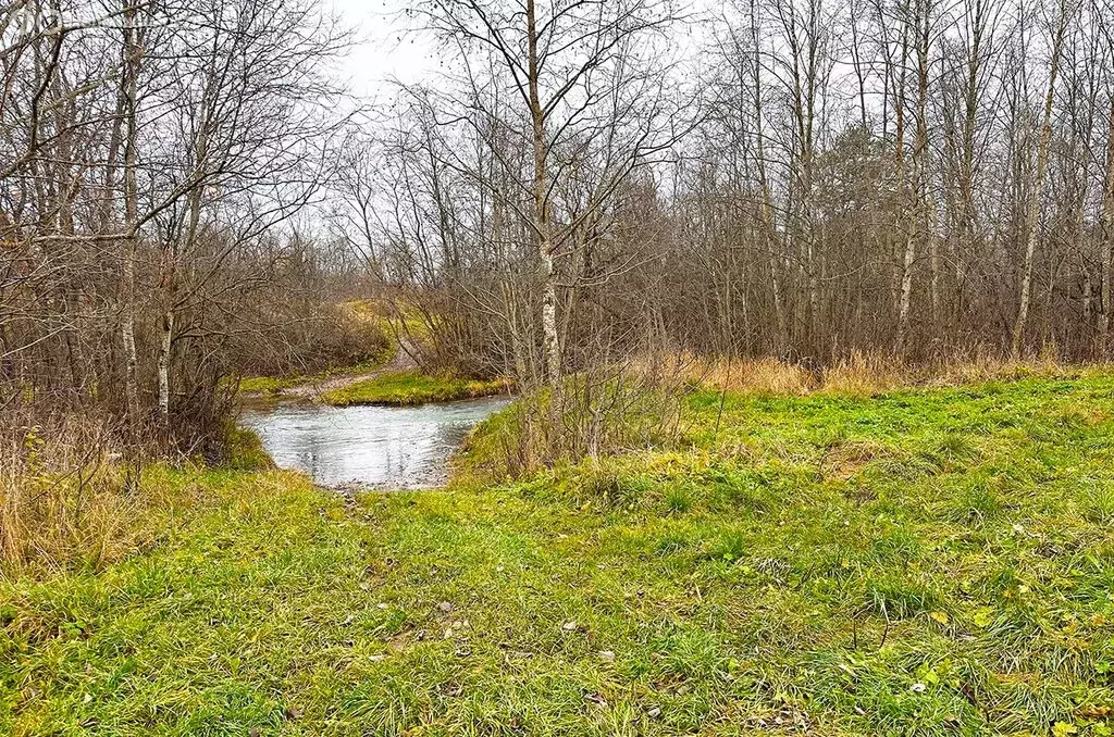 Участок в Ропшинское сельское поселение (6.01 м) - Фото 2
