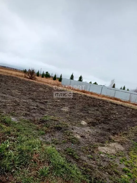 Участок в Тюменская область, Нижнетавдинский муниципальный округ, ... - Фото 2