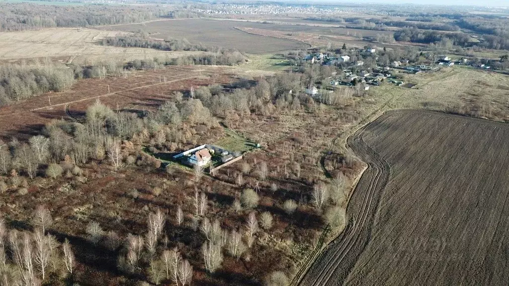 Участок в Калининградская область, Зеленоградский муниципальный округ, ... - Фото 2