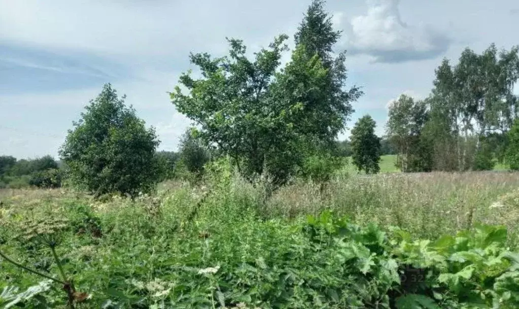 Участок в Калужская область, Мещовск городское поселение, д. ... - Фото 0