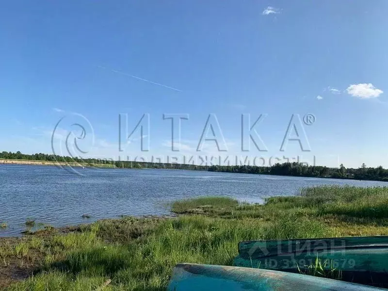 Участок в Ленинградская область, Лодейнопольский район, Янегское ... - Фото 2