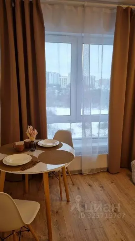 Студия Ленинградская область, Всеволожский район, д. Новое Девяткино ... - Фото 1