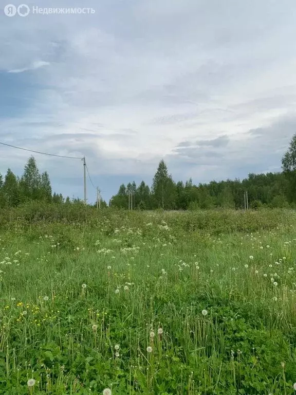 Участок в Ивановский район, Новоталицкое сельское поселение, деревня ... - Фото 1