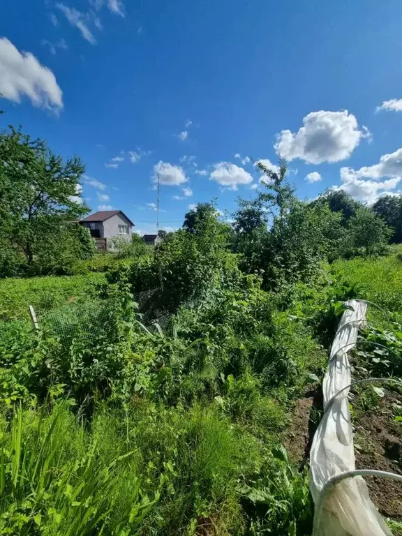 Дом в Калининградская область, Советск Дружба СНТ,  (20 м) - Фото 2
