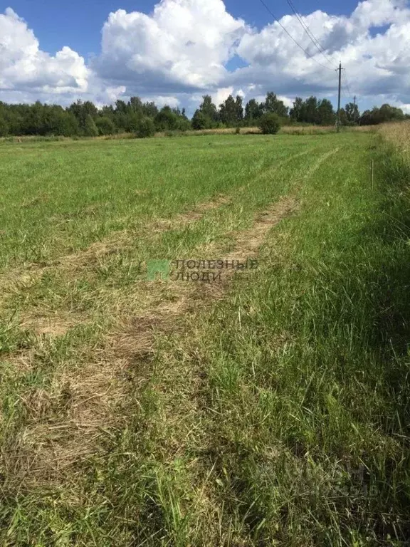 Участок в Тульская область, Алексин городской округ, с. Фомищево  ... - Фото 2