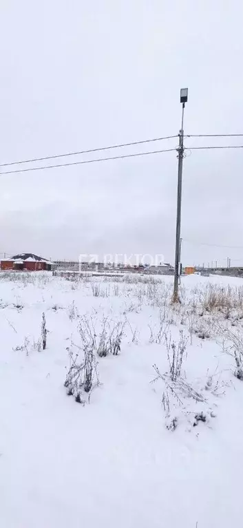 Участок в Костромская область, Кострома Первый кп, проезд Павинский, 1 ... - Фото 1