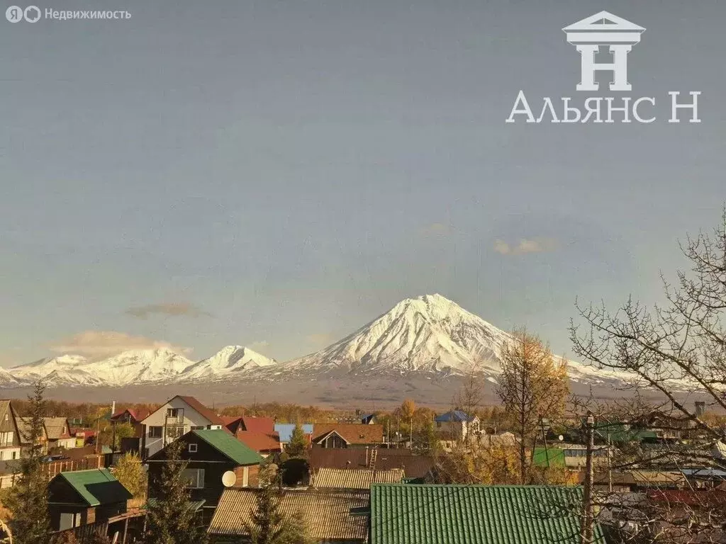 Помещение свободного назначения (720 м) - Фото 2