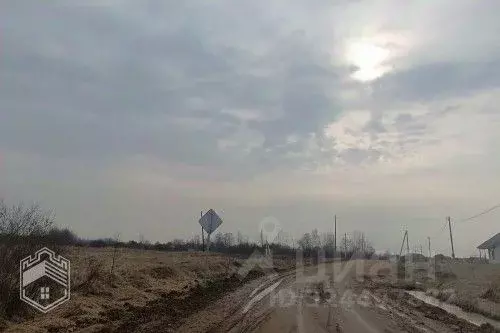 Участок в Новгородская область, Новгородский район, Борковское с/пос, ... - Фото 2