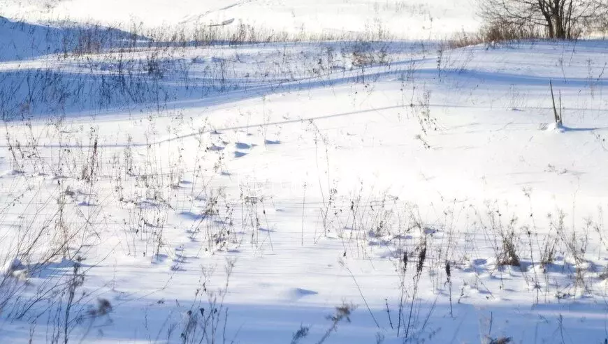 Участок в село Боровое, Школьная улица (21.5 м) - Фото 0