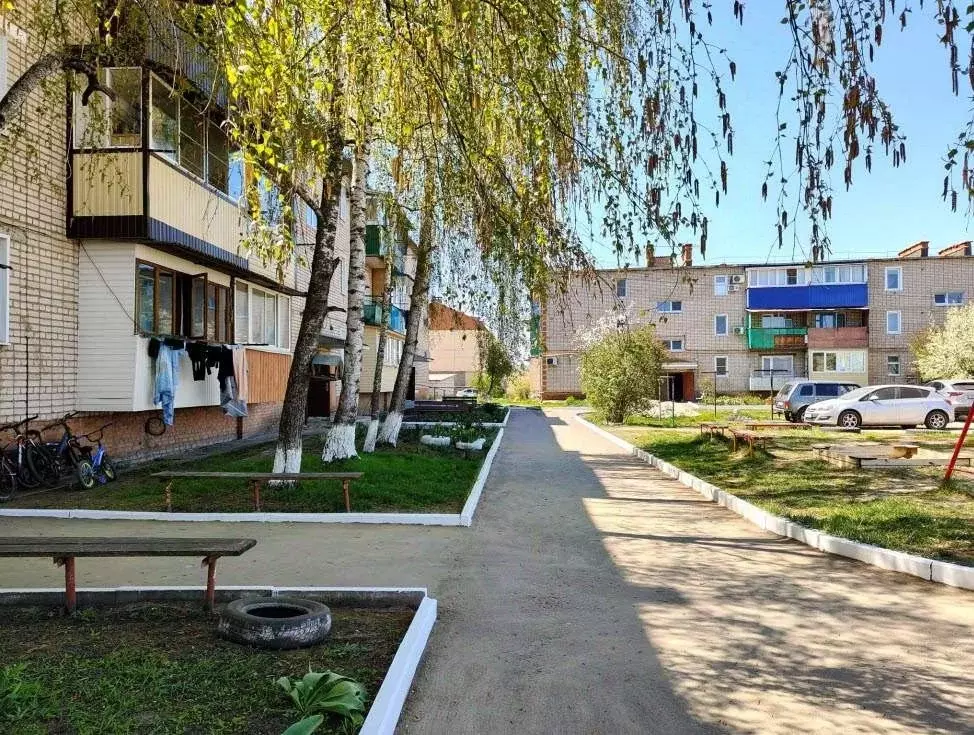 2-к кв. Воронежская область, Кантемировка рп ул. Советская, 75А (50.6 ... - Фото 1