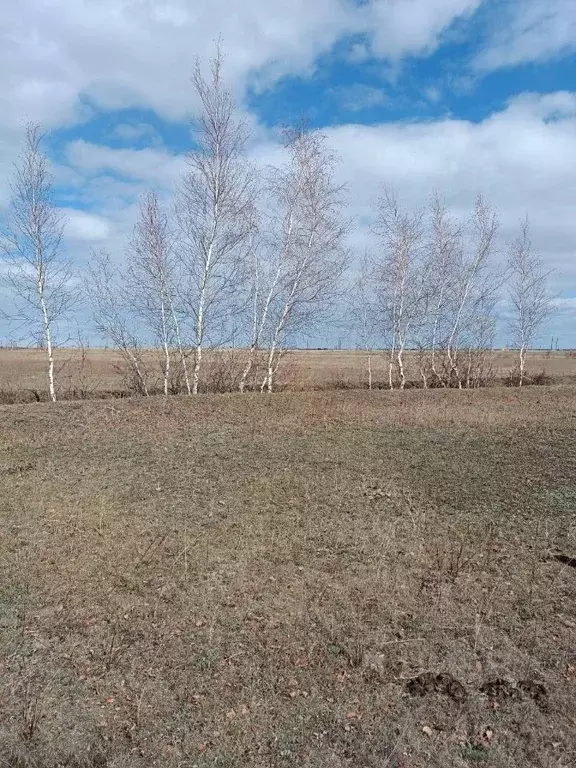 Участок в Саха (Якутия), Якутск городской округ, с. Тулагино  (10.52 ... - Фото 1