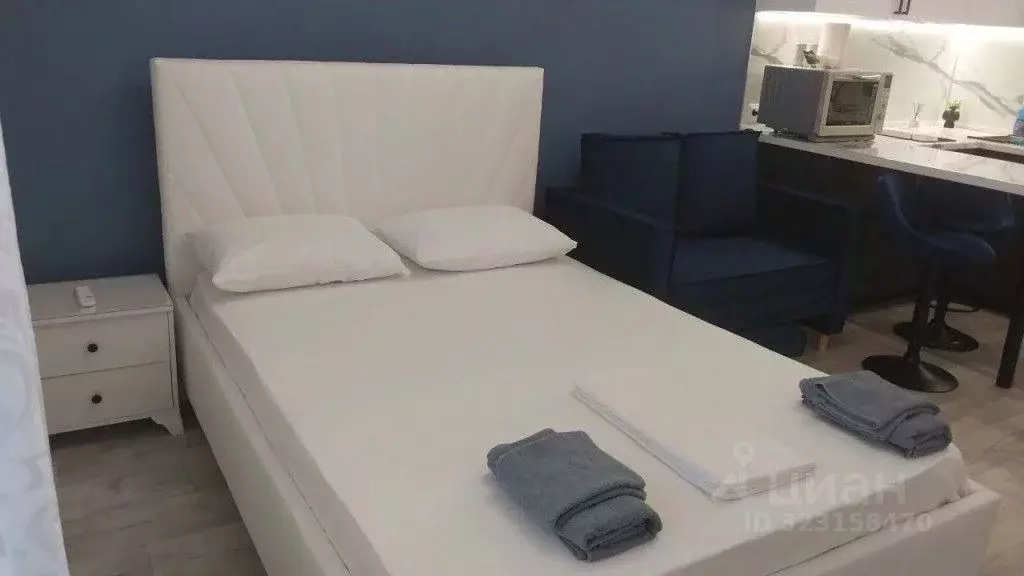 1-к кв. Московская область, Старая Купавна Богородский городской ... - Фото 1