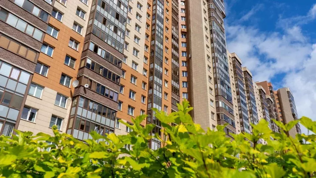 2-к кв. Санкт-Петербург просп. Королева, 63к1 (72.0 м) - Фото 1